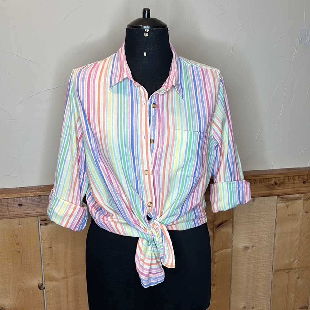 Vintage Rainbow Striped Button Down shirt